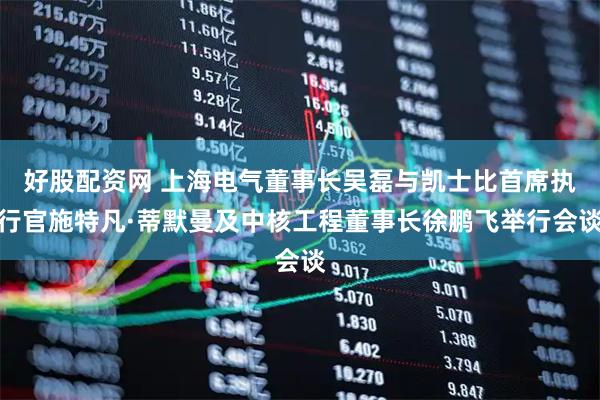 好股配资网 上海电气董事长吴磊与凯士比首席执行官施特凡·蒂默曼及中核工程董事长徐鹏飞举行会谈